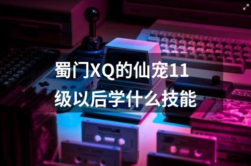 蜀门XQ的仙宠11级以后学什么技能-第1张-游戏信息-龙启网