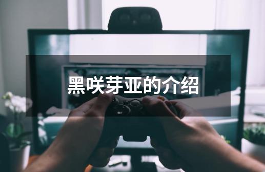 黑咲芽亚的介绍-第1张-游戏信息-龙启网
