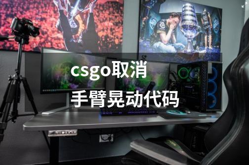 csgo取消手臂晃动代码-第1张-游戏信息-龙启网