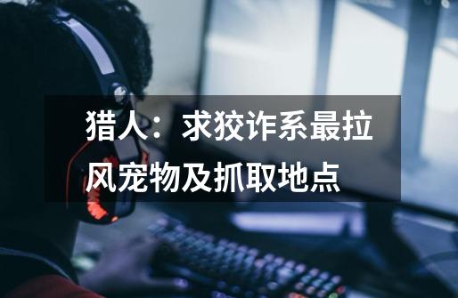 猎人：求狡诈系最拉风宠物及抓取地点-第1张-游戏信息-龙启网