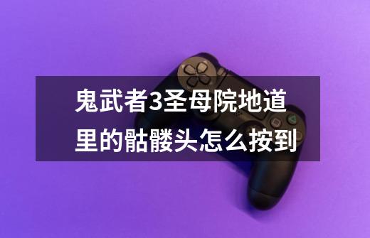 鬼武者3圣母院地道里的骷髅头怎么按到-第1张-游戏信息-龙启网