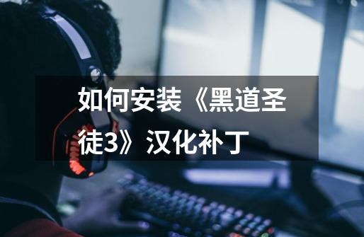 如何安装《黑道圣徒3》汉化补丁-第1张-游戏信息-龙启网