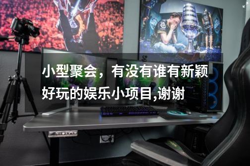 小型聚会,有没有谁有新颖好玩的娱乐小项目,谢谢.-第1张-游戏信息-龙启网