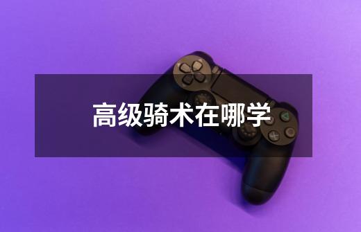 高级骑术在哪学-第1张-游戏信息-龙启网
