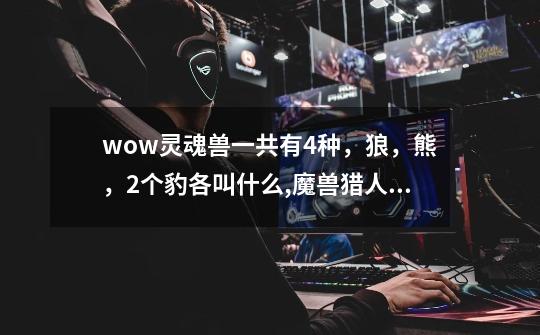 wow灵魂兽一共有4种,狼,熊,2个豹各叫什么,魔兽猎人的稀有宝宝-第1张-游戏信息-龙启网