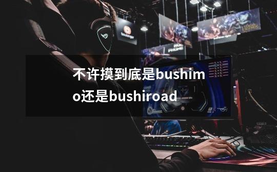 不许摸到底是bushimo还是bushiroad-第1张-游戏信息-龙启网