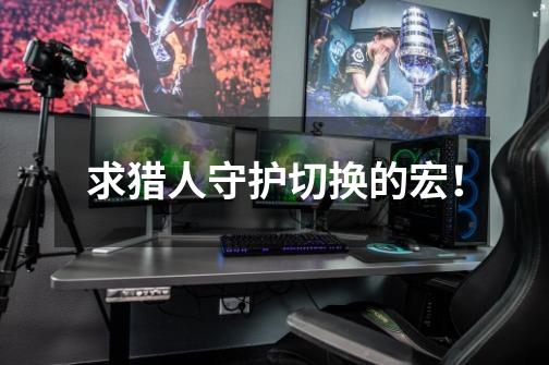 求猎人守护切换的宏！-第1张-游戏信息-龙启网