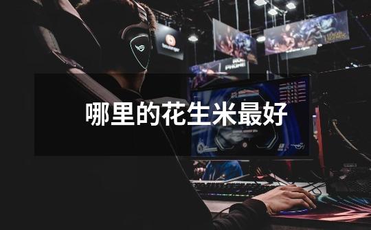 哪里的花生米最好-第1张-游戏信息-龙启网