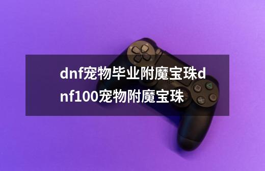 dnf宠物毕业附魔宝珠dnf100宠物附魔宝珠-第1张-游戏信息-龙启网