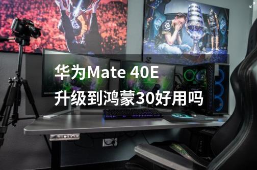 华为Mate 40E升级到鸿蒙3.0好用吗-第1张-游戏信息-龙启网