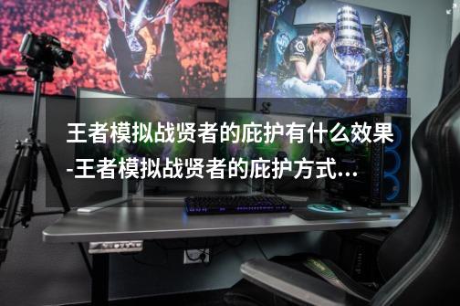 王者模拟战贤者的庇护有什么效果-王者模拟战贤者的庇护方式及属性被动一览-第1张-游戏信息-龙启网