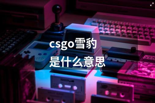 csgo雪豹是什么意思-第1张-游戏信息-龙启网