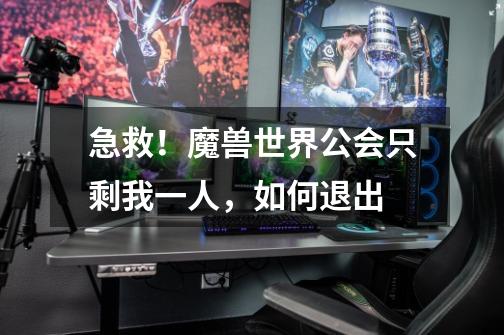急救！魔兽世界公会只剩我一人，如何退出-第1张-游戏信息-龙启网