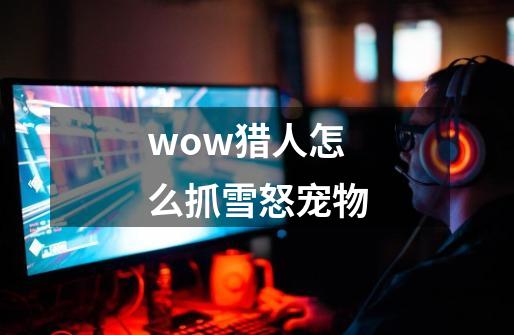 wow猎人怎么抓雪怒宠物-第1张-游戏信息-龙启网