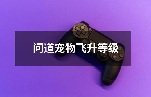 问道宠物飞升等级-第1张-游戏信息-龙启网