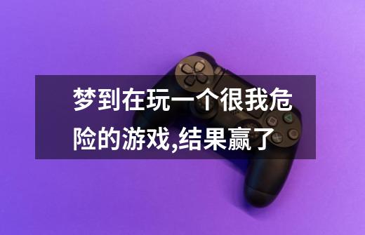 梦到在玩一个很我危险的游戏,结果赢了-第1张-游戏信息-龙启网