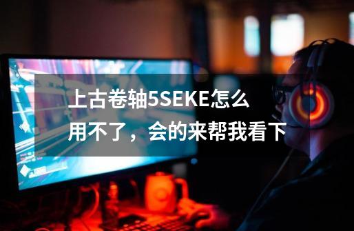 上古卷轴5SEKE怎么用不了，会的来帮我看下-第1张-游戏信息-龙启网