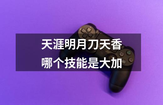 天涯明月刀天香哪个技能是大加-第1张-游戏信息-龙启网