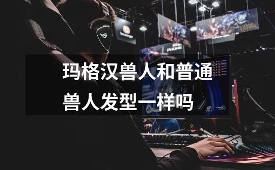 玛格汉兽人和普通兽人发型一样吗-第1张-游戏信息-龙启网
