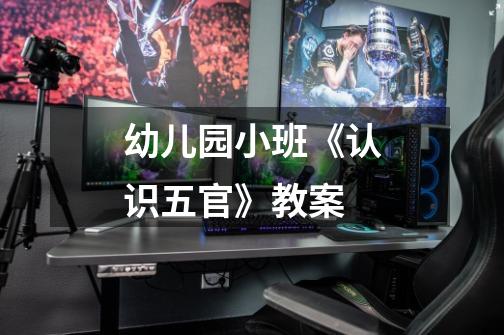 幼儿园小班《认识五官》教案-第1张-游戏信息-龙启网