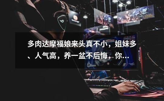 多肉达摩福娘来头真不小,姐妹多、人气高,养一盆不后悔,你知道吗-第1张-游戏信息-龙启网