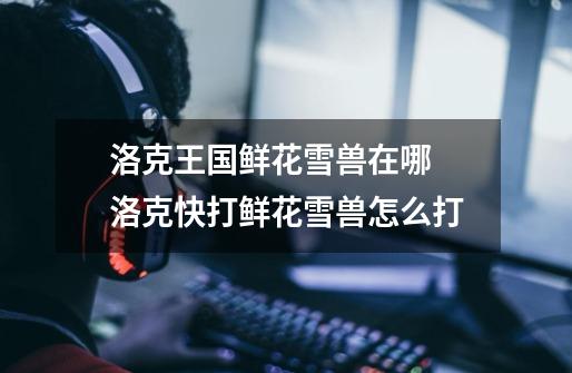 洛克王国鲜花雪兽在哪 洛克快打鲜花雪兽怎么打-第1张-游戏信息-龙启网