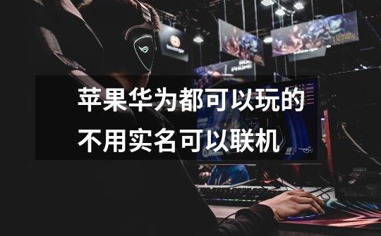 苹果华为都可以玩的不用实名可以联机-第1张-游戏信息-龙启网
