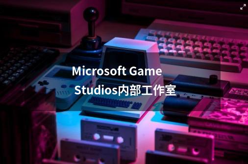 Microsoft Game Studios内部工作室-第1张-游戏信息-龙启网