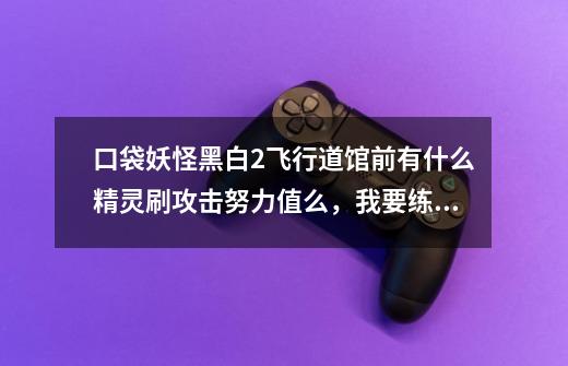 口袋妖怪黑白2飞行道馆前有什么精灵刷攻击努力值么,我要练幼牙龙,幼牙龙努力值练什么好(攻击除外)-第1张-游戏信息-龙启网