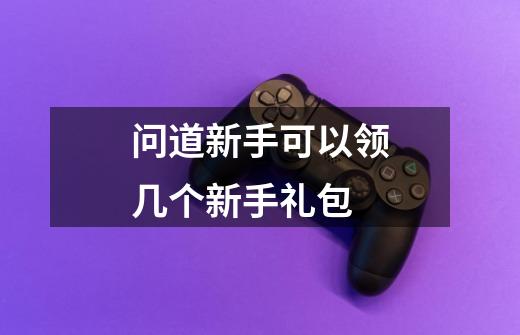 问道新手可以领几个新手礼包-第1张-游戏信息-龙启网