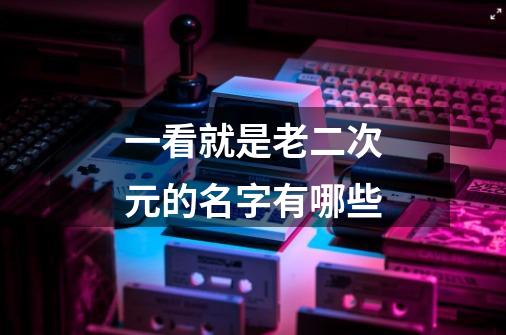 一看就是老二次元的名字有哪些-第1张-游戏信息-龙启网