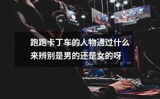 跑跑卡丁车的人物通过什么来辨别是男的还是女的呀-第1张-游戏信息-龙启网