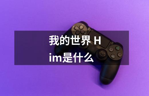 我的世界 Him是什么-第1张-游戏信息-龙启网