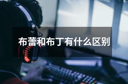 布蕾和布丁有什么区别-第1张-游戏信息-龙启网