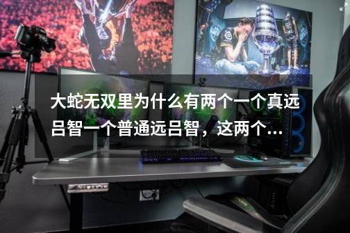 大蛇无双里为什么有两个一个真远吕智一个普通远吕智，这两个是一个人吗-第1张-游戏信息-龙启网