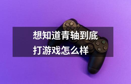 想知道青轴到底打游戏怎么样-第1张-游戏信息-龙启网