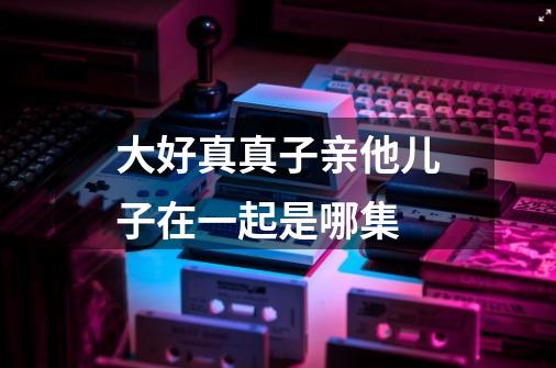 大好真真子亲他儿子在一起是哪集-第1张-游戏信息-龙启网