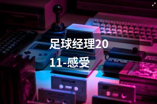 足球经理2011-感受-第1张-游戏信息-龙启网