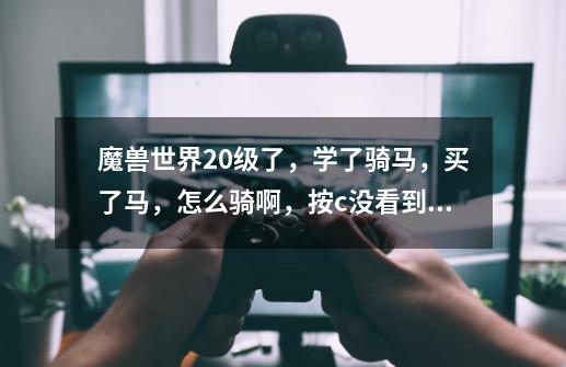 魔兽世界20级了,学了骑马,买了马,怎么骑啊,按c没看到有坐骑栏啊-第1张-游戏信息-龙启网