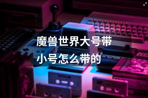 魔兽世界大号带小号怎么带的-第1张-游戏信息-龙启网