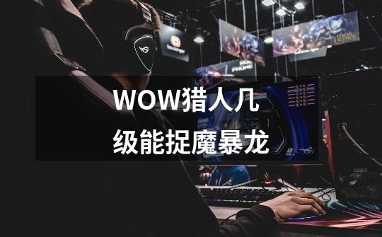 WOW猎人几级能捉魔暴龙-第1张-游戏信息-龙启网