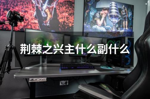 荆棘之兴主什么副什么-第1张-游戏信息-龙启网