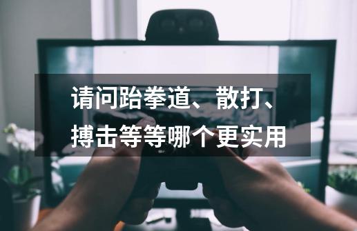 请问跆拳道、散打、搏击等等哪个更实用-第1张-游戏信息-龙启网