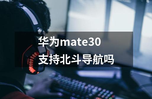 华为mate30支持北斗导航吗-第1张-游戏信息-龙启网