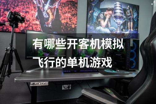 有哪些开客机模拟飞行的单机游戏-第1张-游戏信息-龙启网