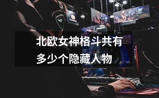 北欧女神格斗共有多少个隐藏人物-第1张-游戏信息-龙启网