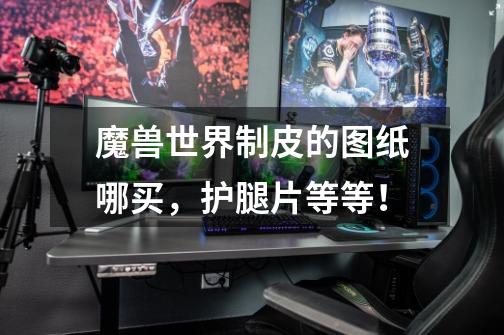 魔兽世界制皮的图纸哪买,护腿片等等!-第1张-游戏信息-龙启网
