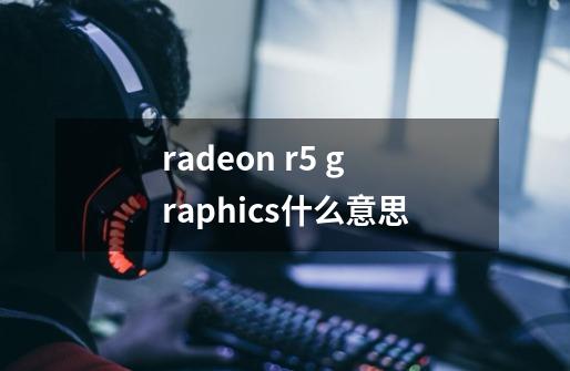 radeon r5 graphics什么意思-第1张-游戏信息-龙启网