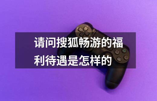 请问搜狐畅游的福利待遇是怎样的-第1张-游戏信息-龙启网