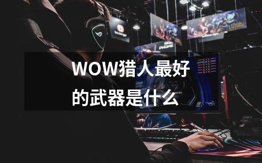WOW猎人最好的武器是什么-第1张-游戏信息-龙启网